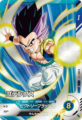 dbsd-sdv07-021.jpg