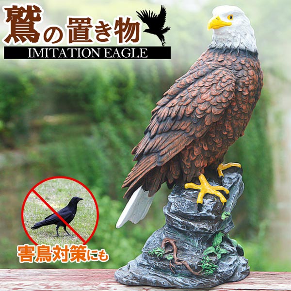 楽天市場】送料無料 鷲の置物 イーグル ワシ 模型 インテリア 鳥 自然