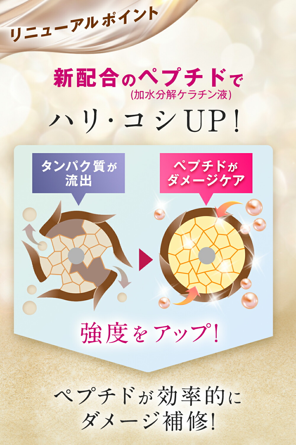 楽天市場】簡単 泡 白髪染め【公式】新登場 ヘアボーテエクラ