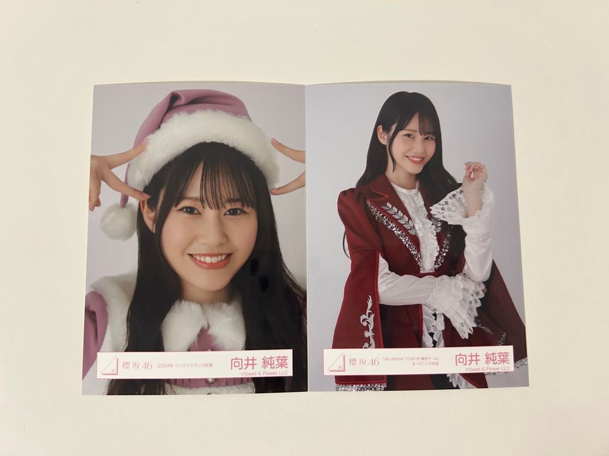 向井純葉 東京ドーム オープニング衣装 生写真 櫻坂46 福袋 2025