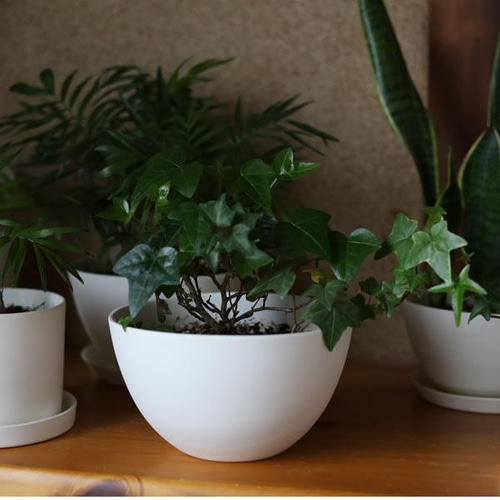 白い陶器の植木鉢 (焼きしめ) (釉薬なし) (ボールタイプ) 一輪挿し
