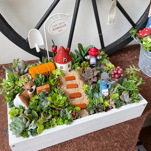 プレゼントにも〜受注制作 わんちゃんガーデン箱庭風多肉植物寄せ植え
