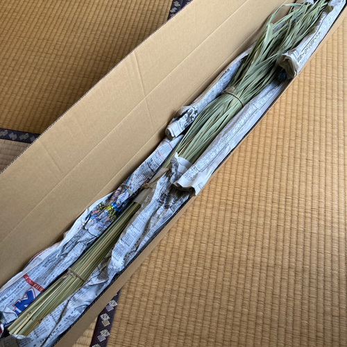 しめ縄・お飾り用】乾燥真菰(まこも)葉［長さ110cm］200g 上質品