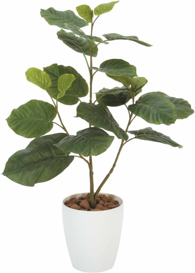 光触媒 人工観葉植物 ウンベラータ【光の楽園】