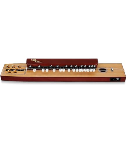 Amazon.co.jp: スズキ電気大正琴「蘭」バス（中古整備品） : Musical