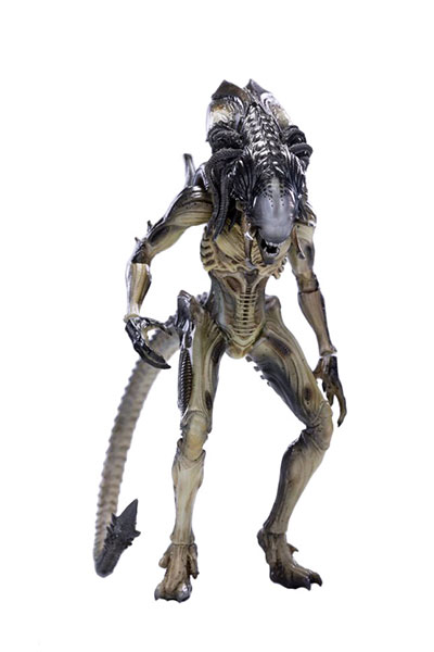 AVP2 1/18 アクションフィギュア プレデリアン[ハイヤトイズ]《在庫切れ》