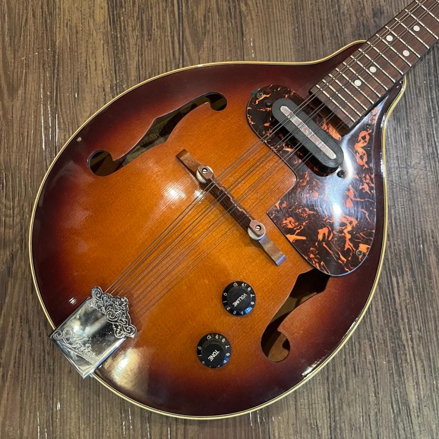ARIA（アリア） Aria AM-200E Electric Mandolin フラットマンドリン