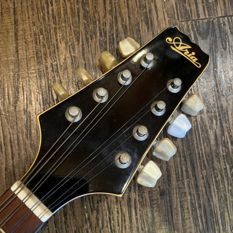 ARIA（アリア） Aria AM-200E Electric Mandolin フラットマンドリン