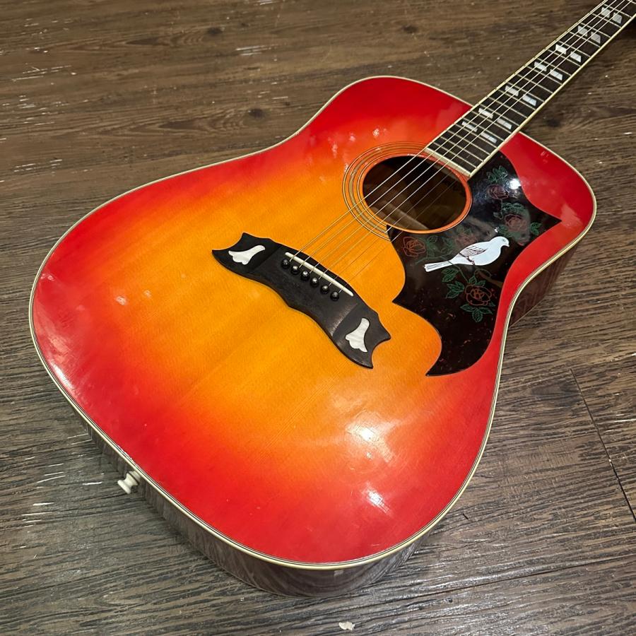 Morris Morris MWD-03 Acoustic Guitar アコースティックギター