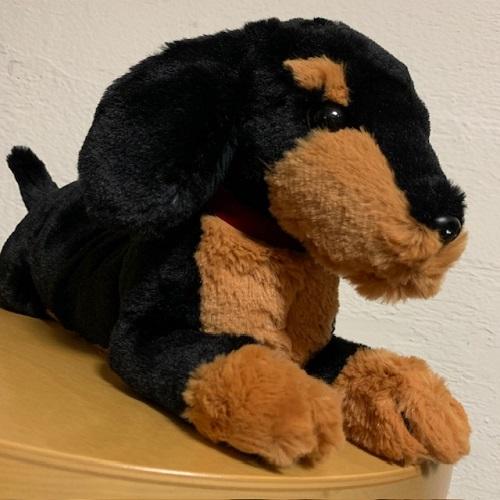 ひざわんこ ダックス ブラック 黒 ぬいぐるみ【いぬぬいぐるみ／イヌ