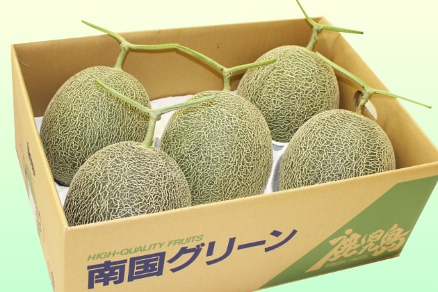 南国グリーンメロン - JA鹿児島いずみ