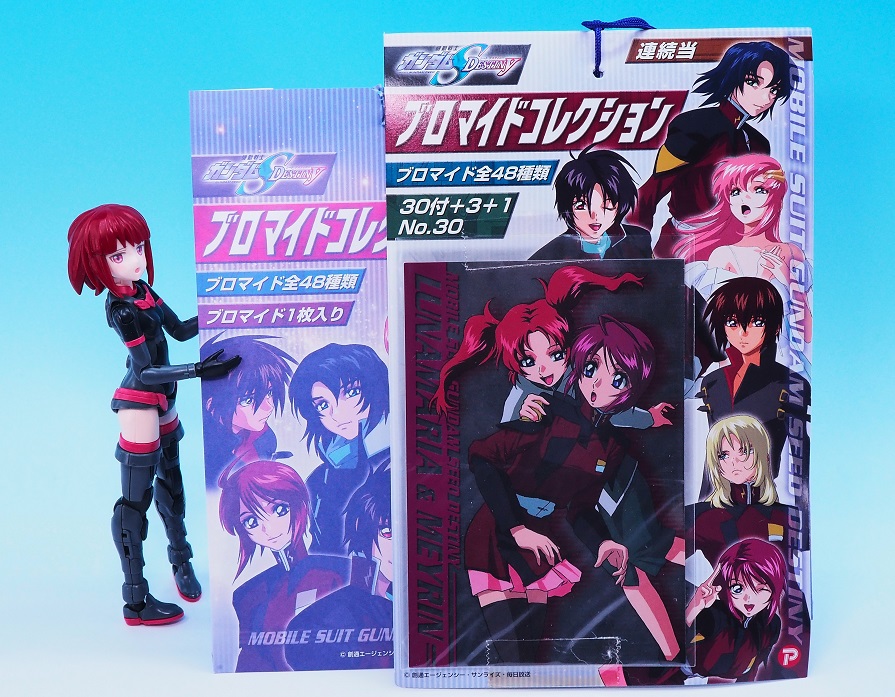 ポピー 機動戦士ガンダムSEED DESTINY ブロマイドコレクション