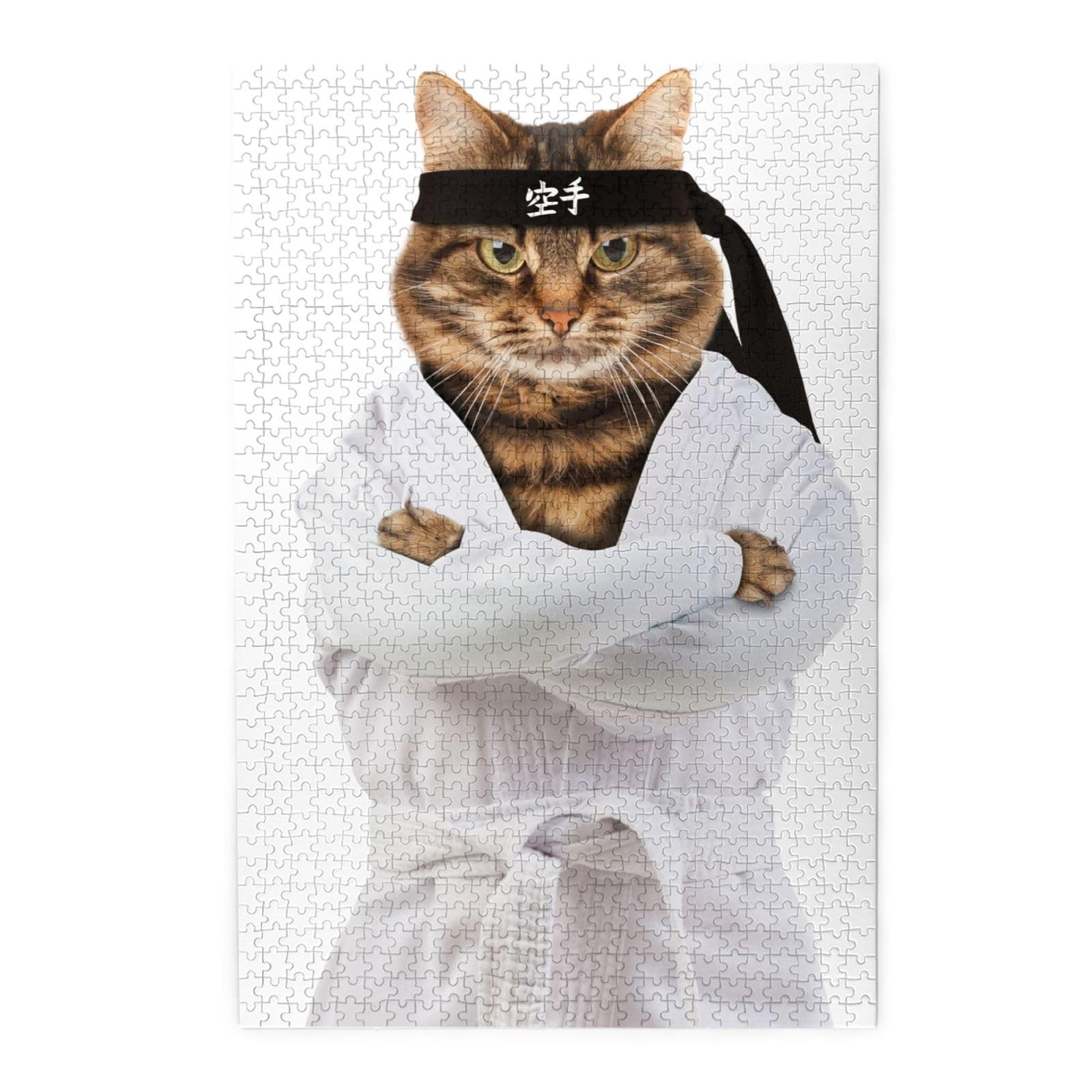Amazon.co.jp: おもしろ 猫 猫柄 面白い ねこ アニメ ジグソーパズル