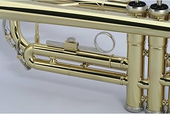 Amazon | MAXTONE 管楽器セット トランペット B♭管 ゴールドラッカー