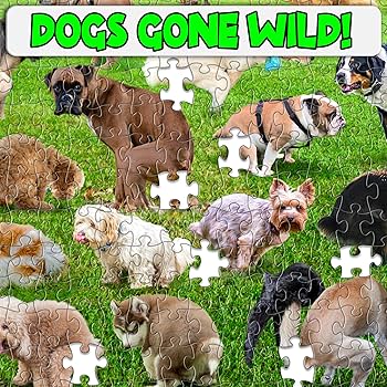 Amazon.com: Funwares Original 101 Puppies Puzzle – 1000-Piece