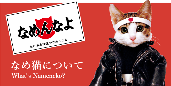 なめ猫 ～なめんなよ～ 公式サイト