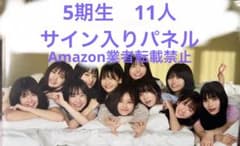 m28009506181_1.jpg?1724409698