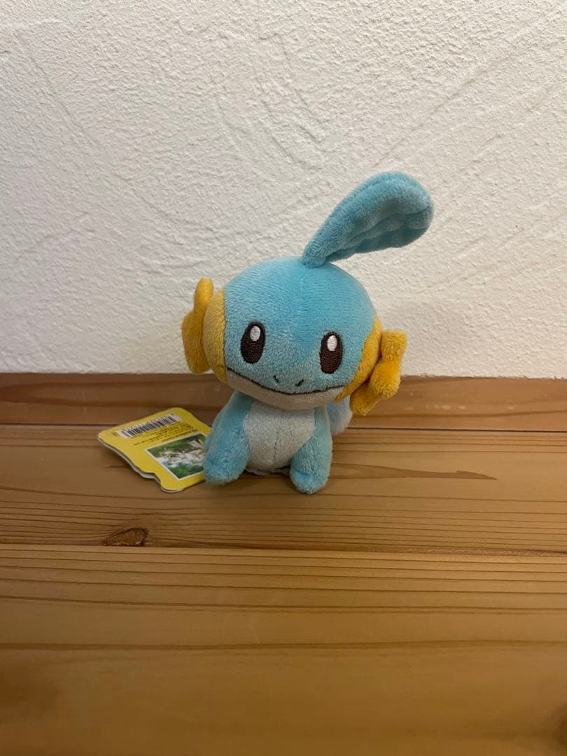 ポケモンセンター　ポケモンキャンバス ぬいぐるみ　ミズゴロウ　ポケモン　ポケセン ポケモン ポケセン ぬいぐるみ ミズゴロウ ポケモンセンター - メルカリ