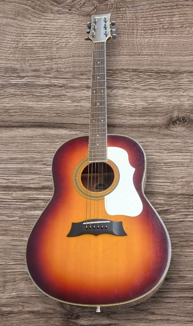 Morris アコースティックギター サンバースト ギブソン風ピックガード サンバースト用 Gibson Vintage 1960年代 ギブソン ヴィンテージ 純正