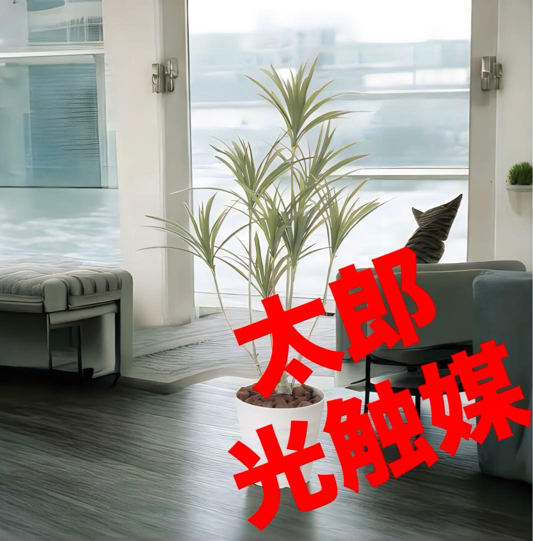 光触媒　人工観葉植物　ウォールグリーン　フェイクグリーン　ドラセナ1.4 光触媒 人工観葉植物 フェイクグリーン ドラセナ 高さ 1.8m | 太郎's STORE