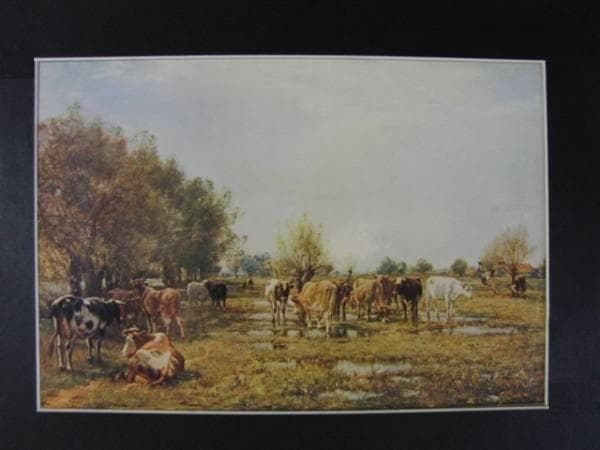 Fen Meadows/Mark Fisher、牧場/マーク・フィッシャー Mark Fisher ——いちどは無効化された夢の力を取り戻すために。マーク