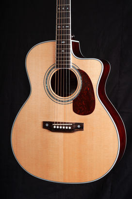 SAGA Repair Guitars | OTS LAB